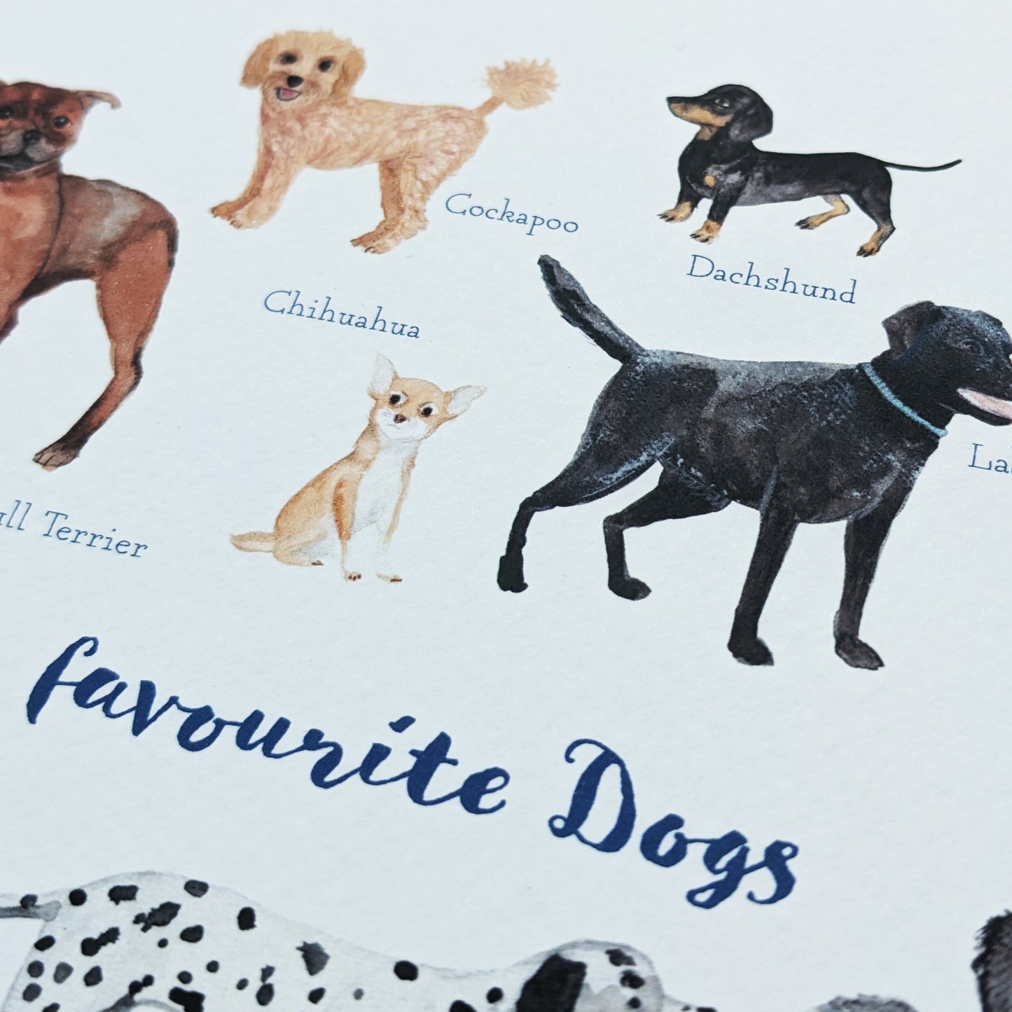 Square Greetings Card - Favourite Doggies - Dad