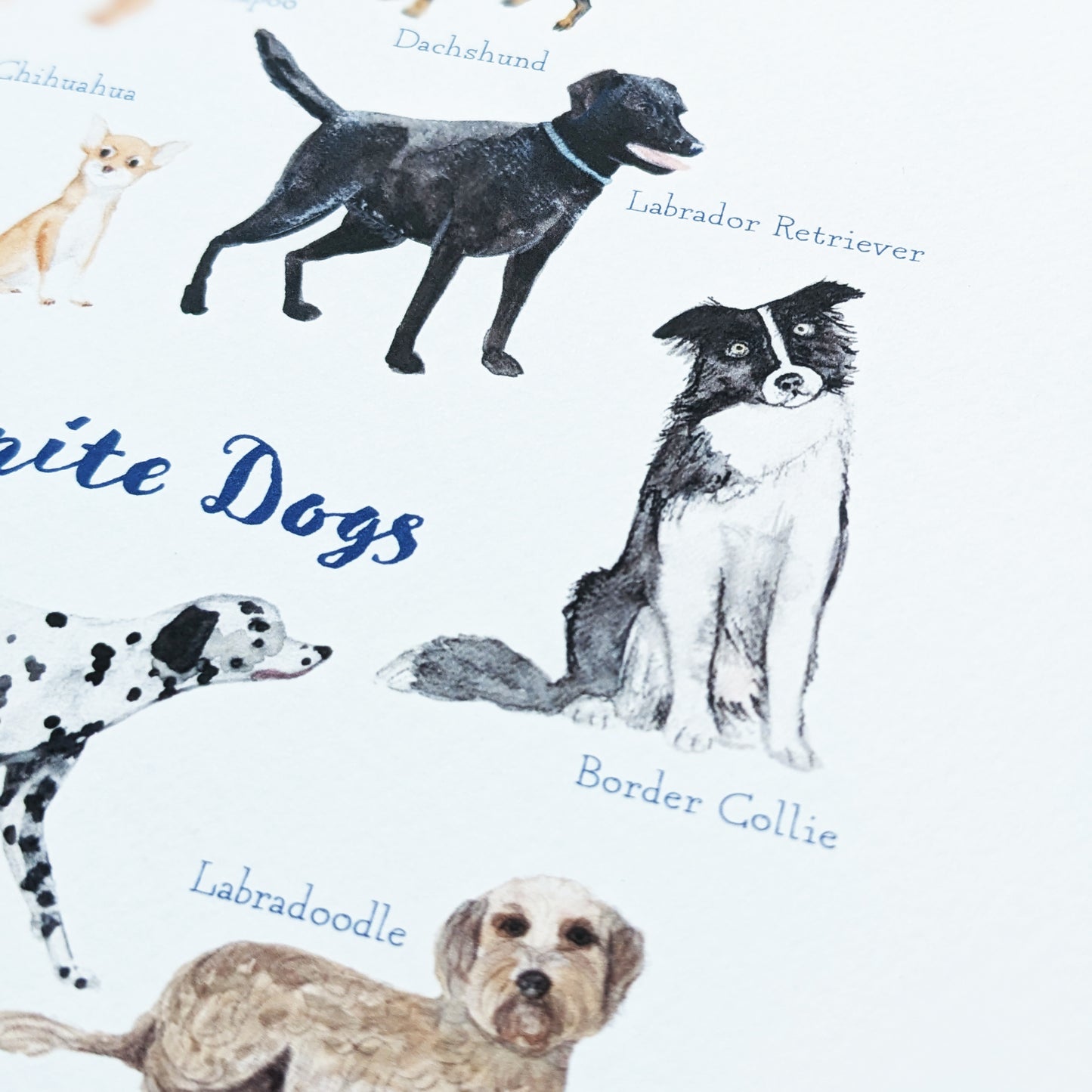 Personalised Greetings Card - Favourite Doggies