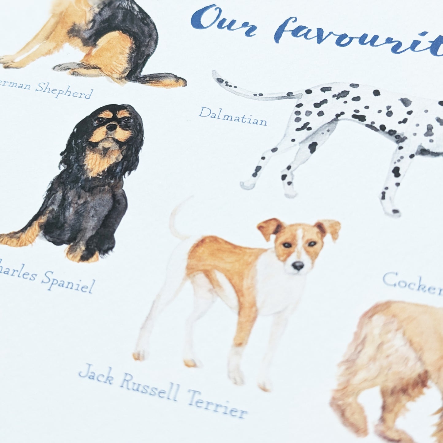Personalised Greetings Card - Favourite Doggies