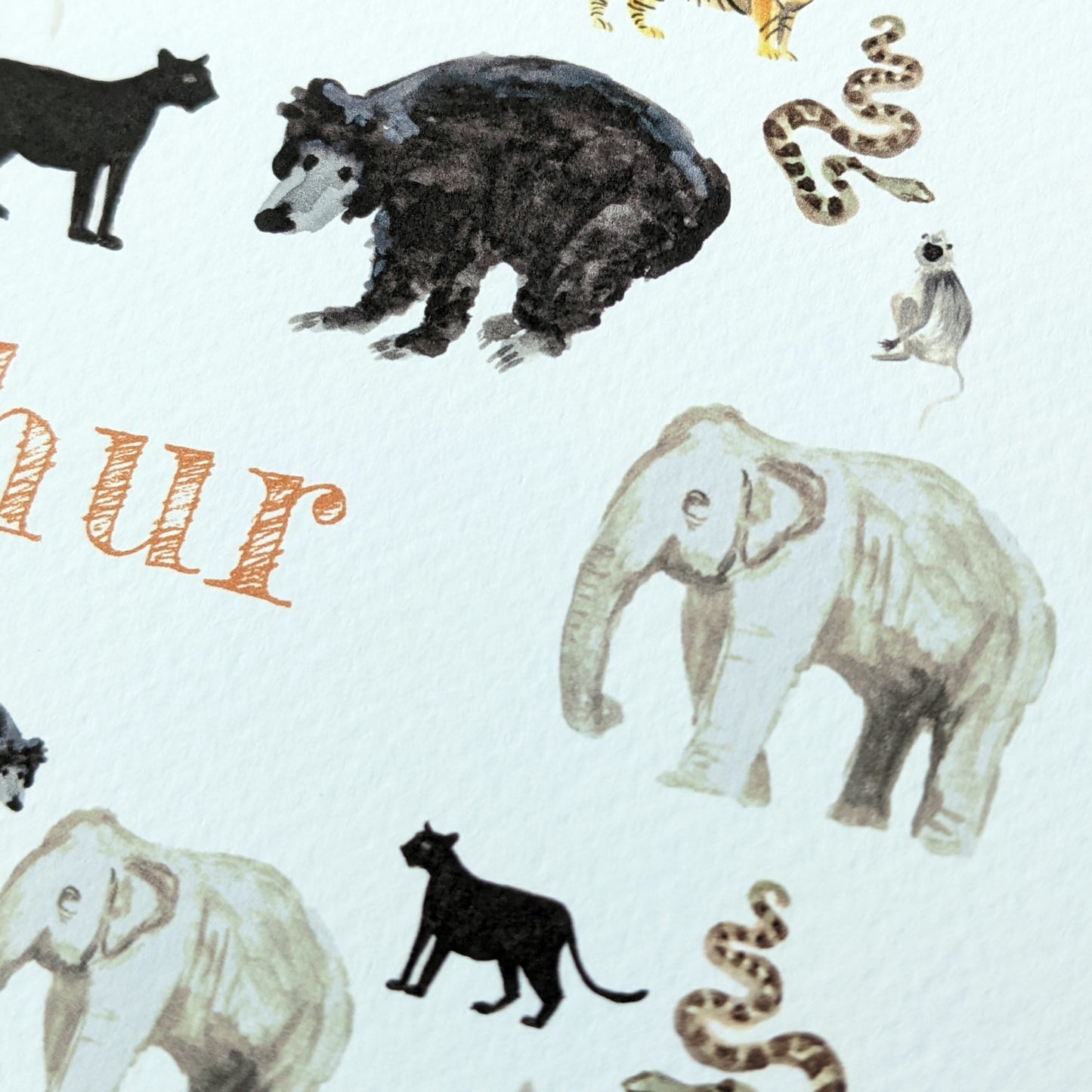 Personalised Greetings Card - Indian Jungle