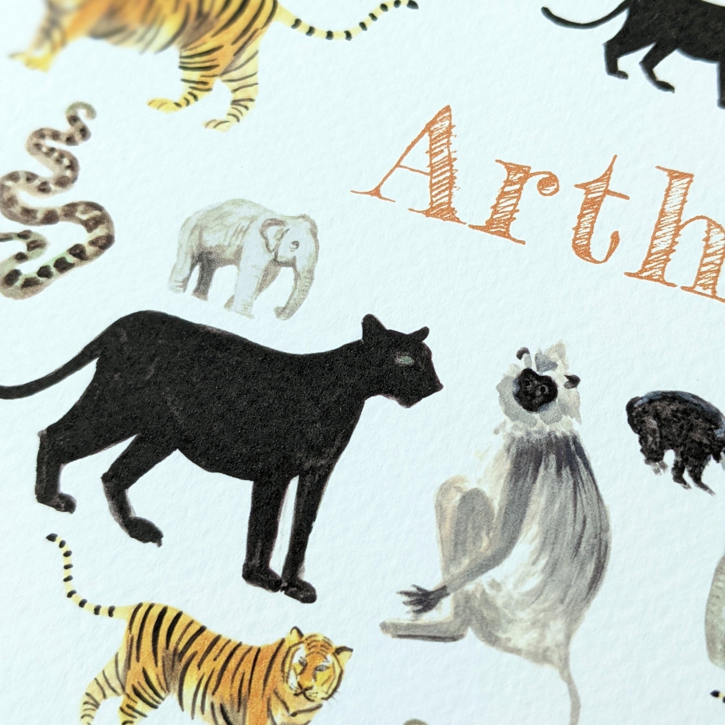 Personalised Greetings Card - Indian Jungle