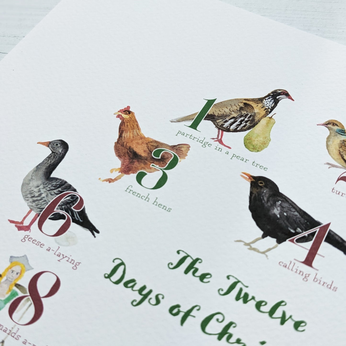 Watercolour Art Print - 12 Days of Christmas