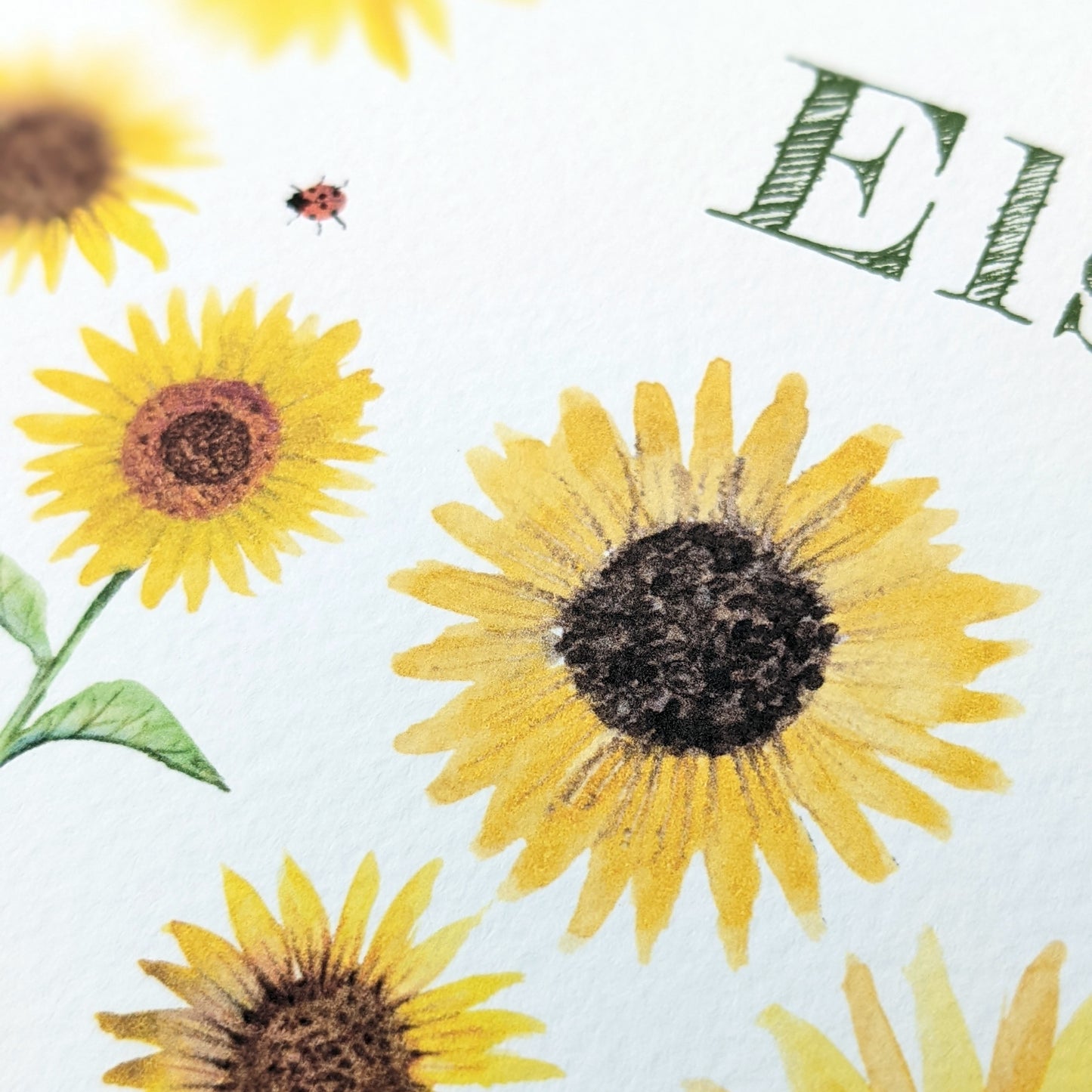 Personalised Greetings Card - Sunflowers