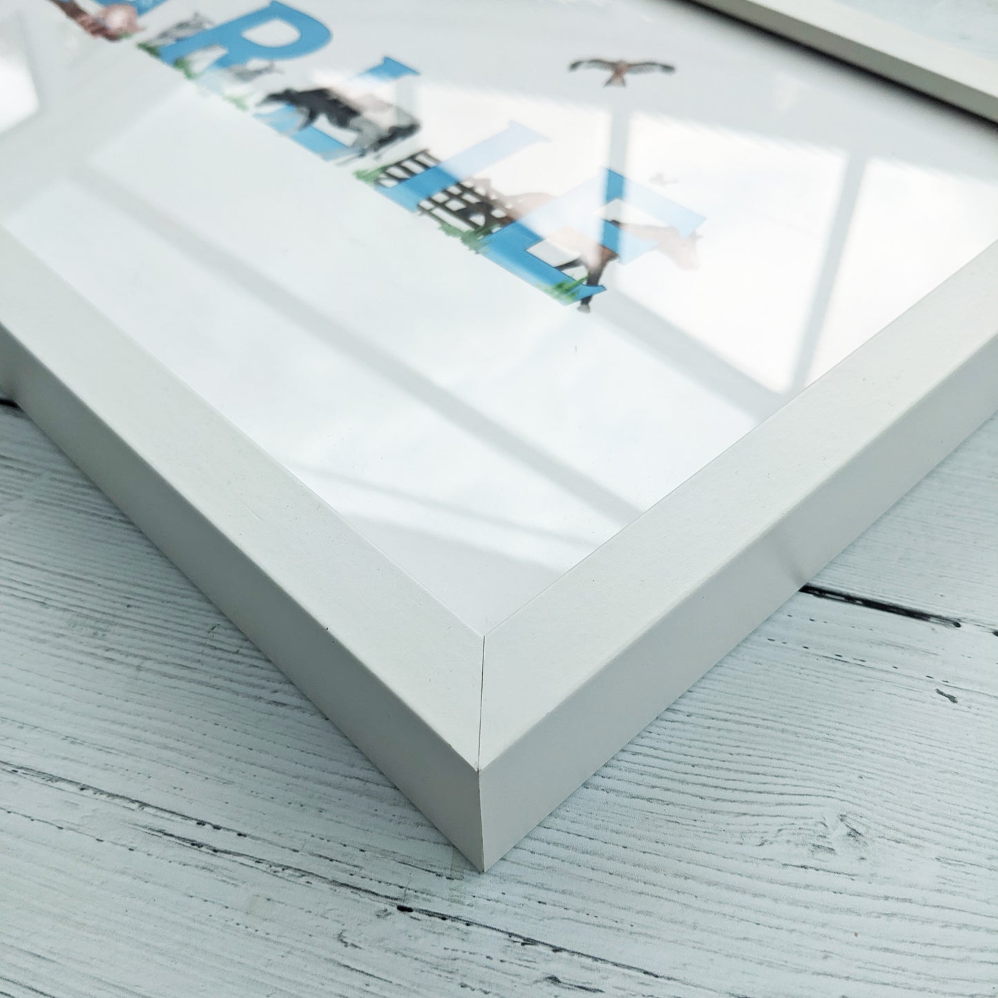 Frame - White - 50x23cm