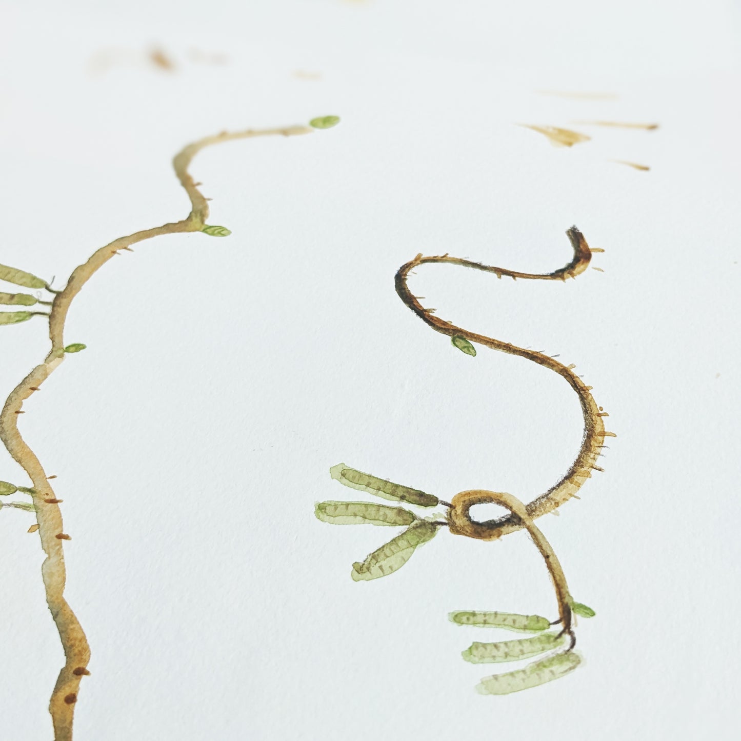 Personalised Spring Floral Wreath Art Print