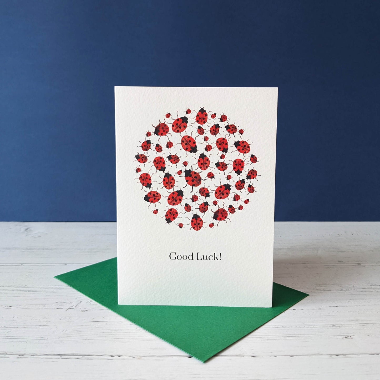 Greetings card - Good Luck Ladybirds