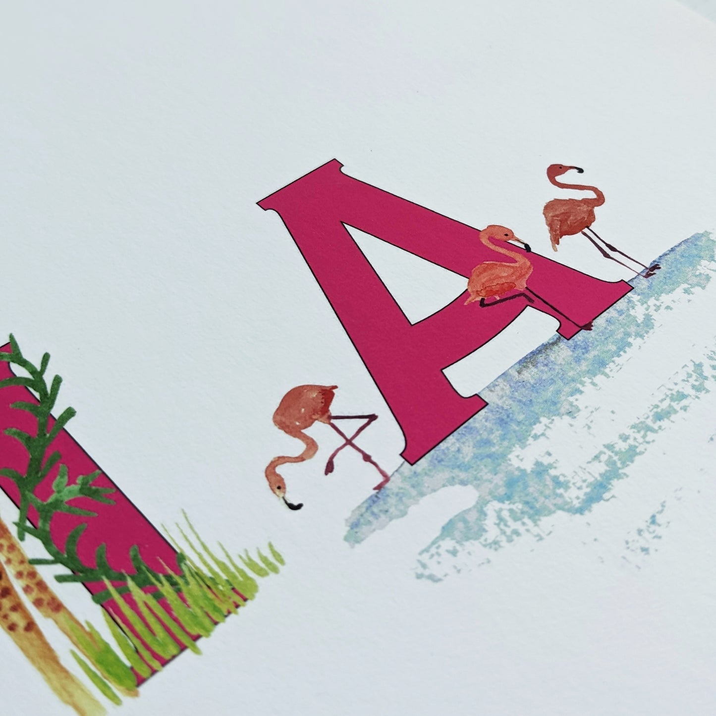 Illustrated name - African Safari