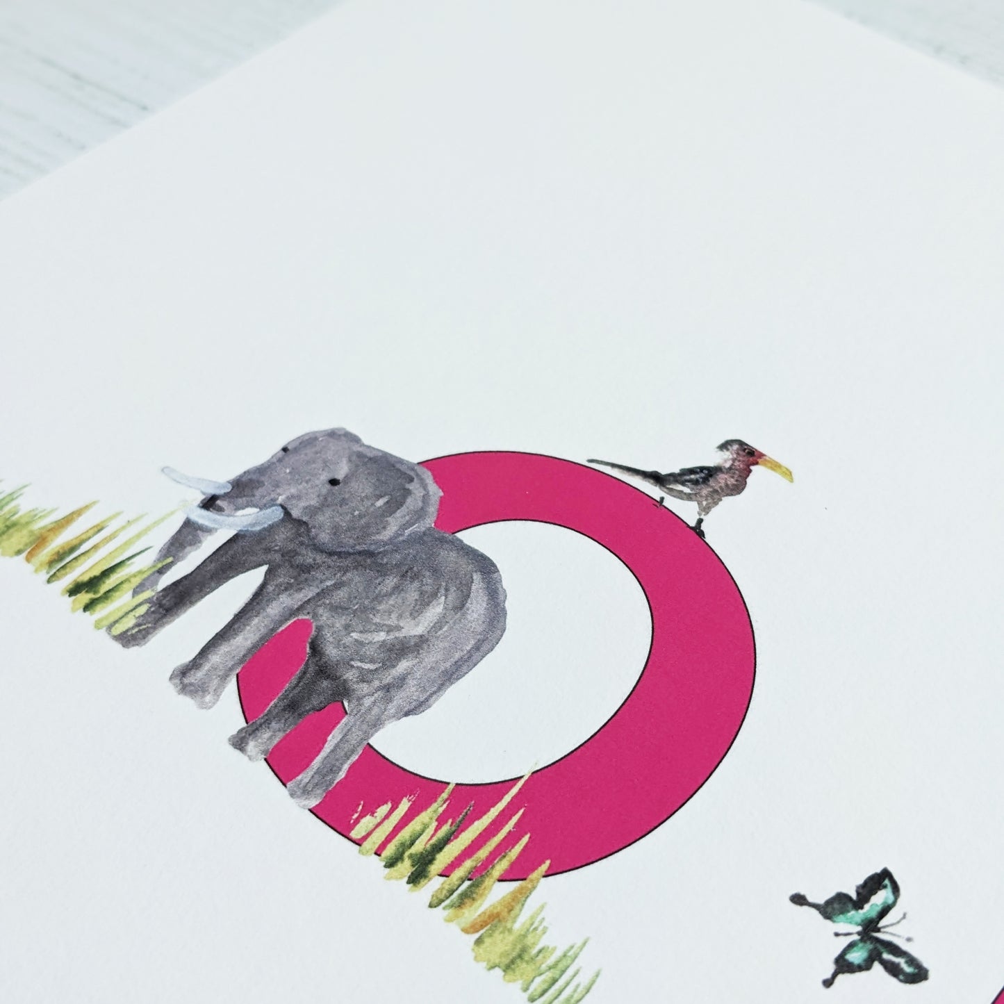 Illustrated name - African Safari