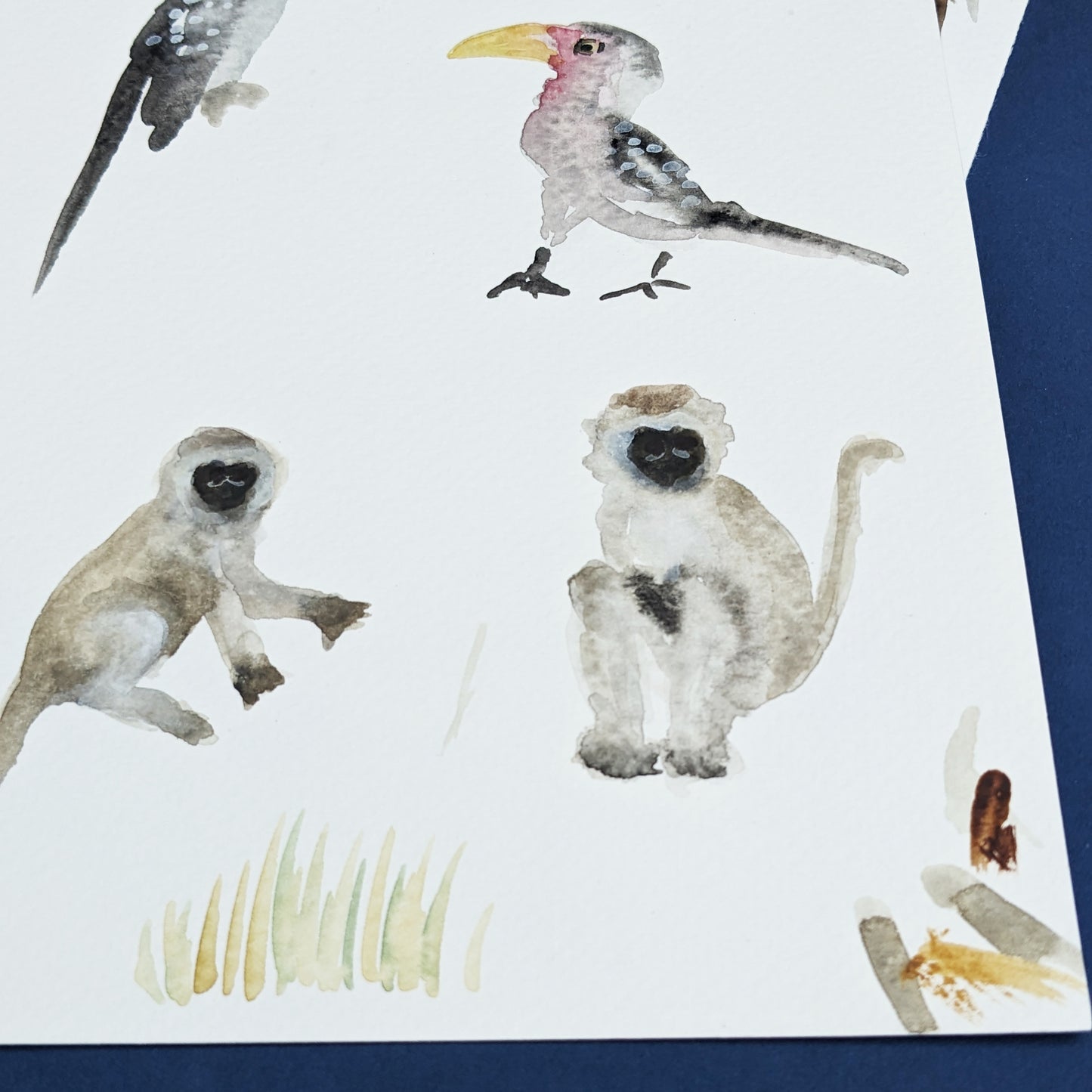 Illustrated name - African Safari