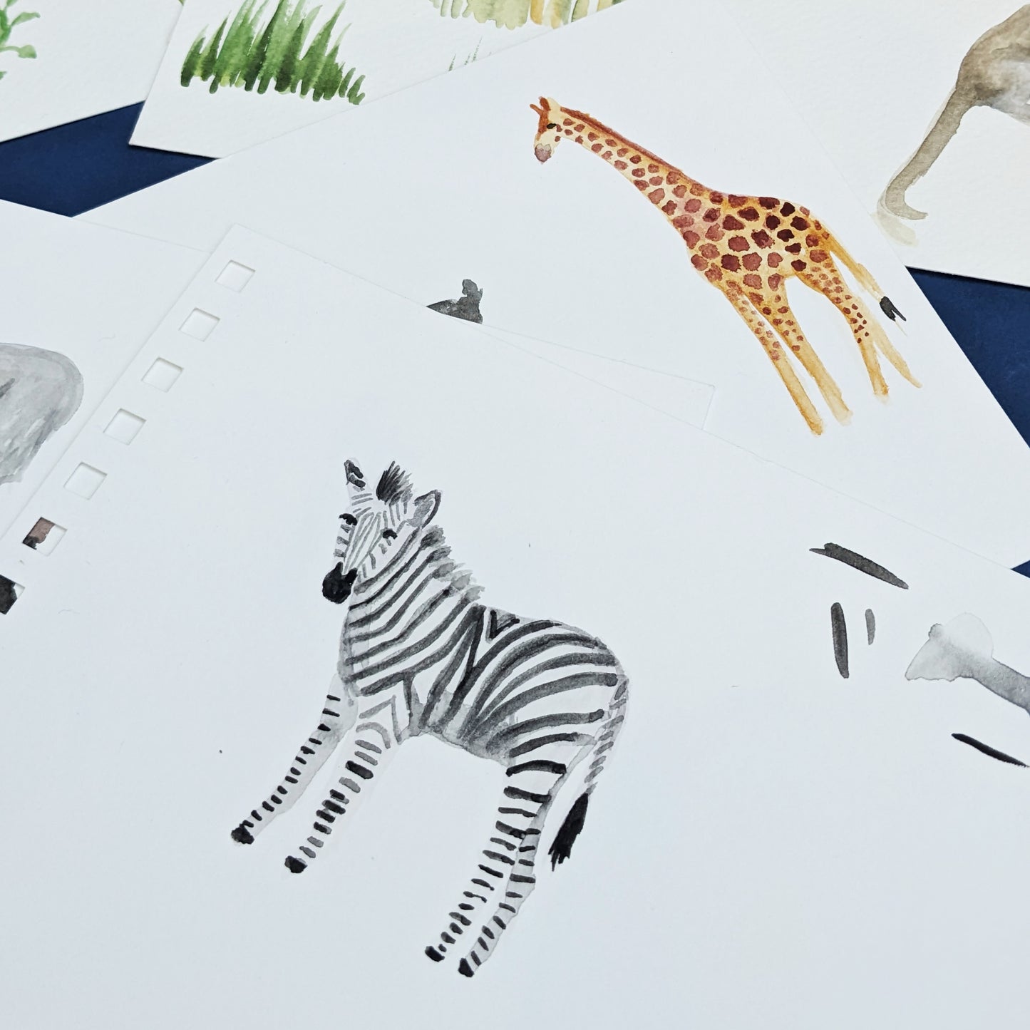 Illustrated name - African Safari