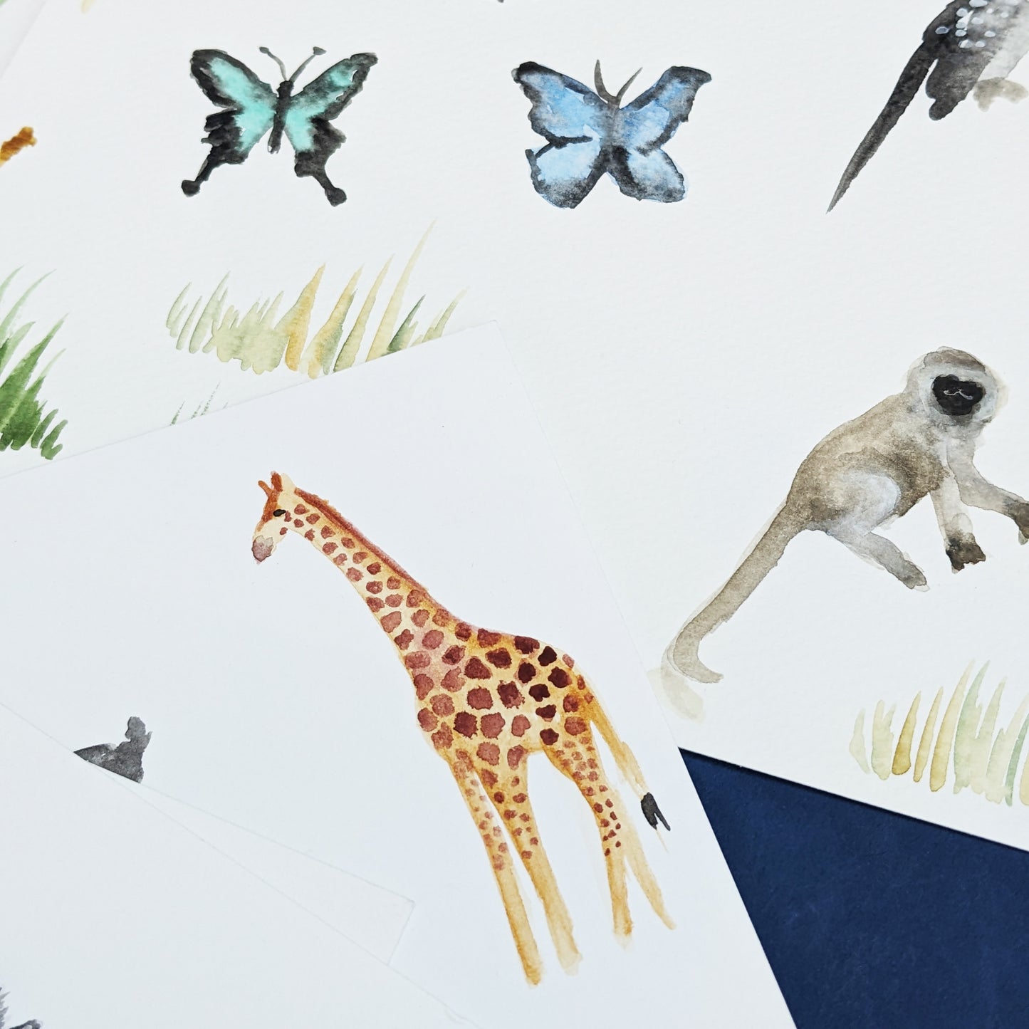 Illustrated name - African Safari