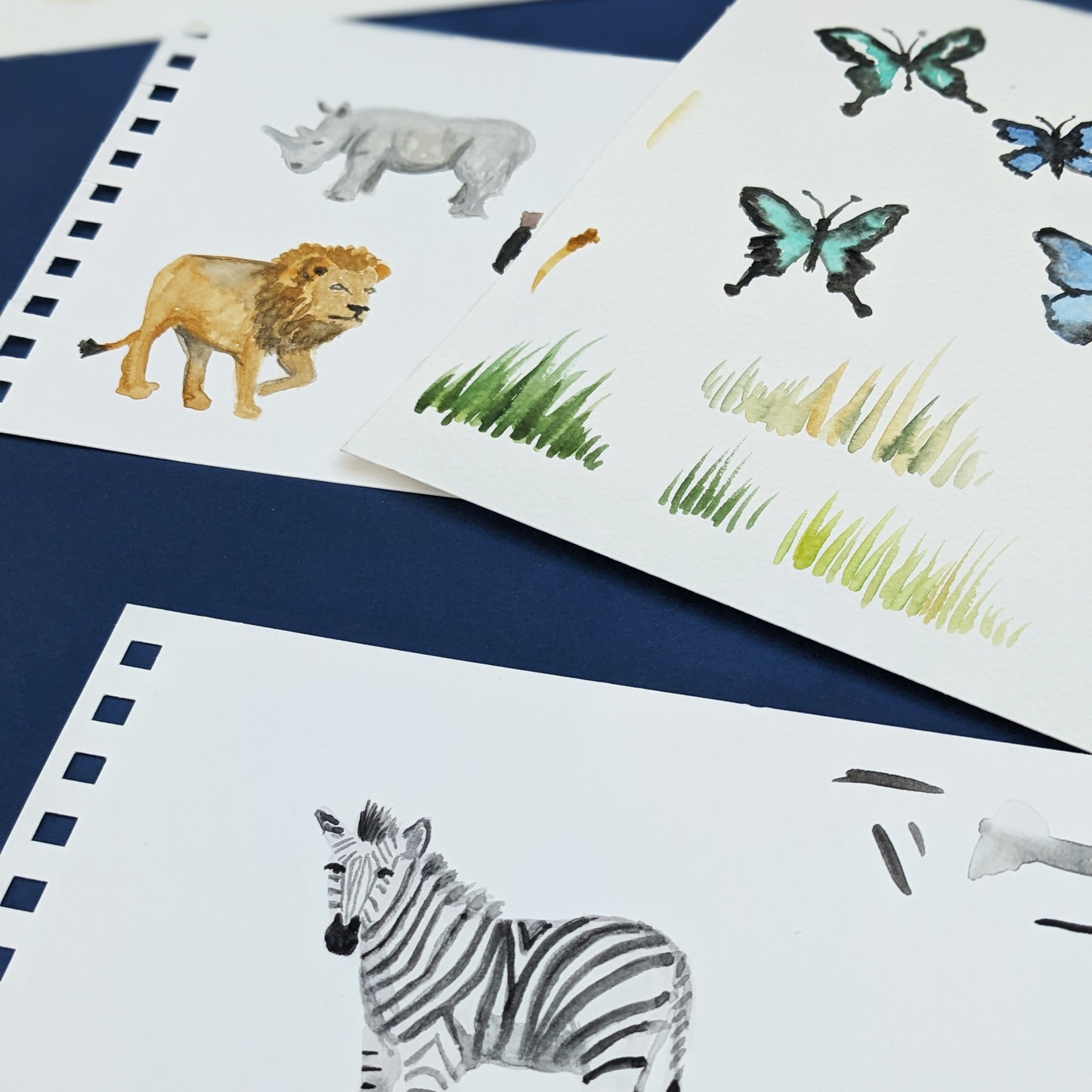 Illustrated name - African Safari