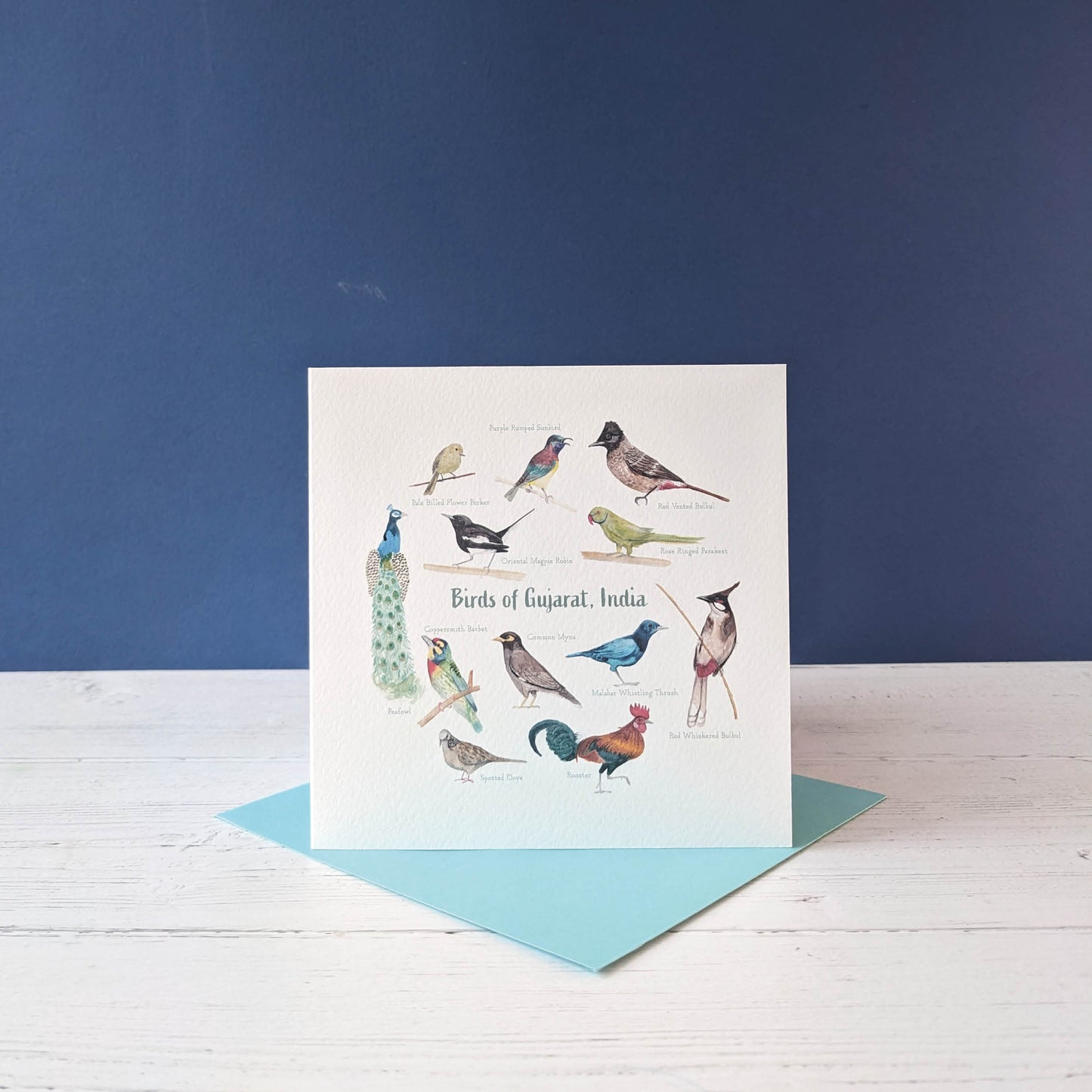Watercolour Art Print - Birds of India