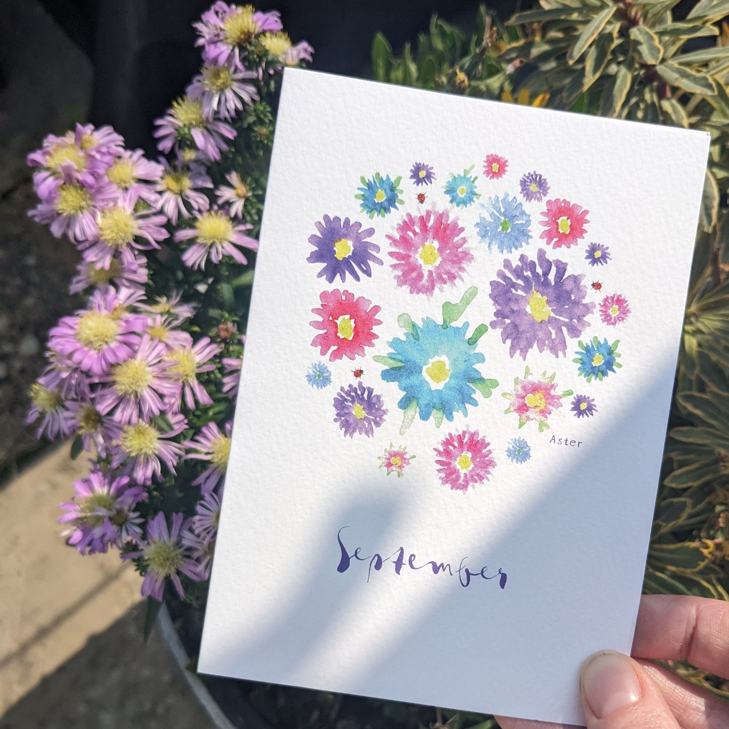 Personalised Greetings Card - Aster - September birth flower