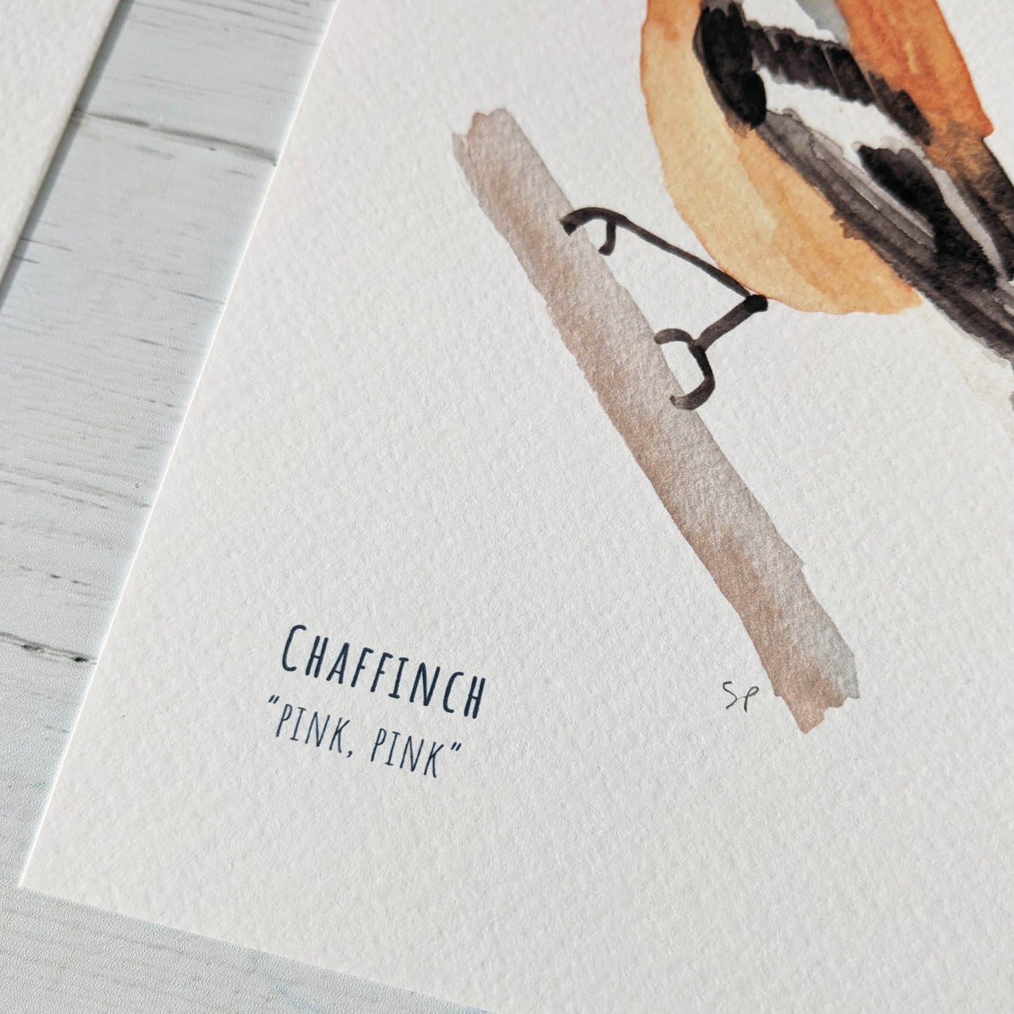 Watercolour Art Print - Garden Birds- Chaffinch - A5