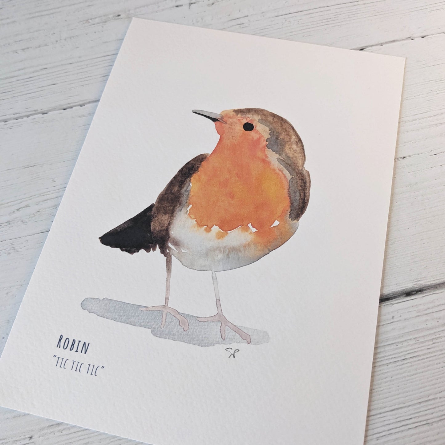 Watercolour Art Print - Garden Birds- Robin - A5