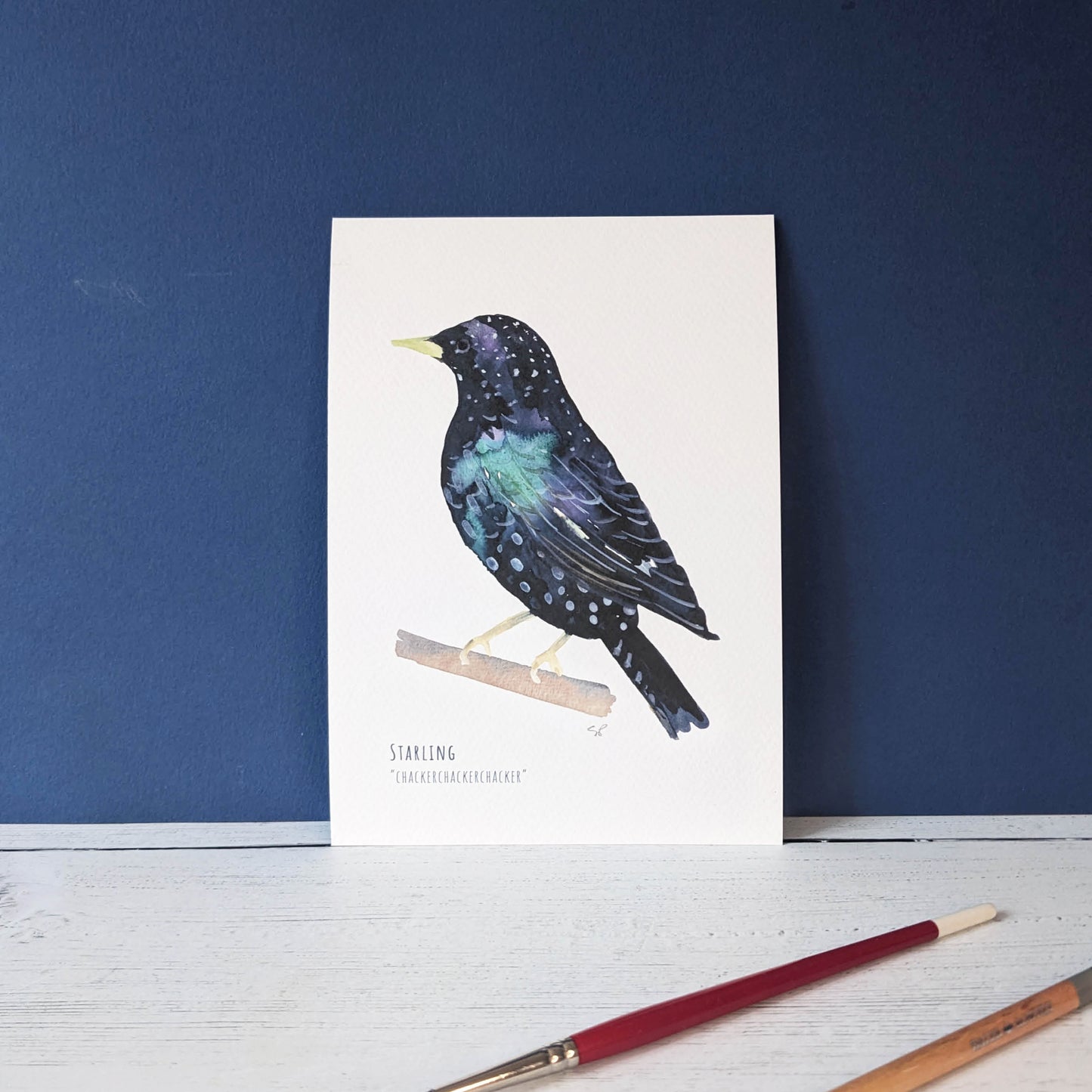 Watercolour Art Print - Garden Birds- Starling - A5