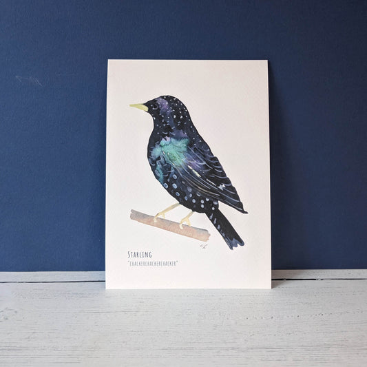 Watercolour Art Print - Garden Birds- Starling - A5