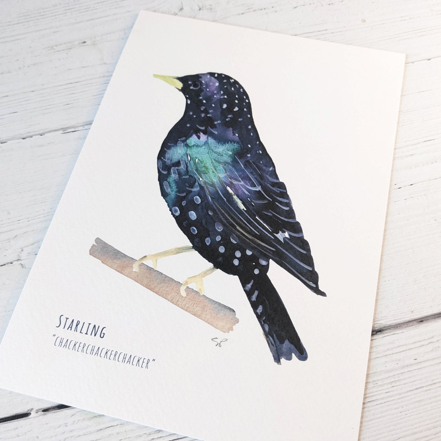 Watercolour Art Print - Garden Birds- Starling - A5