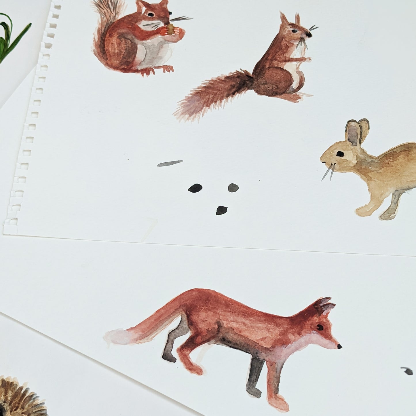 Personalised Greetings card - Woodland Clearing