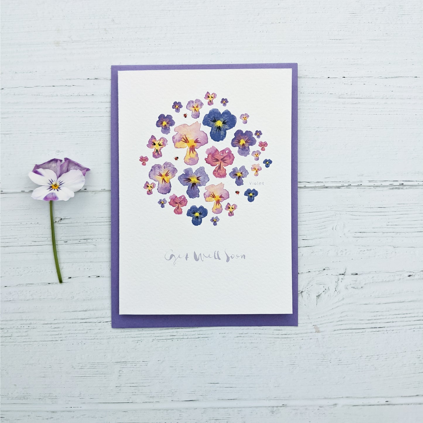 Greetings card - Get Well Soon - Violets