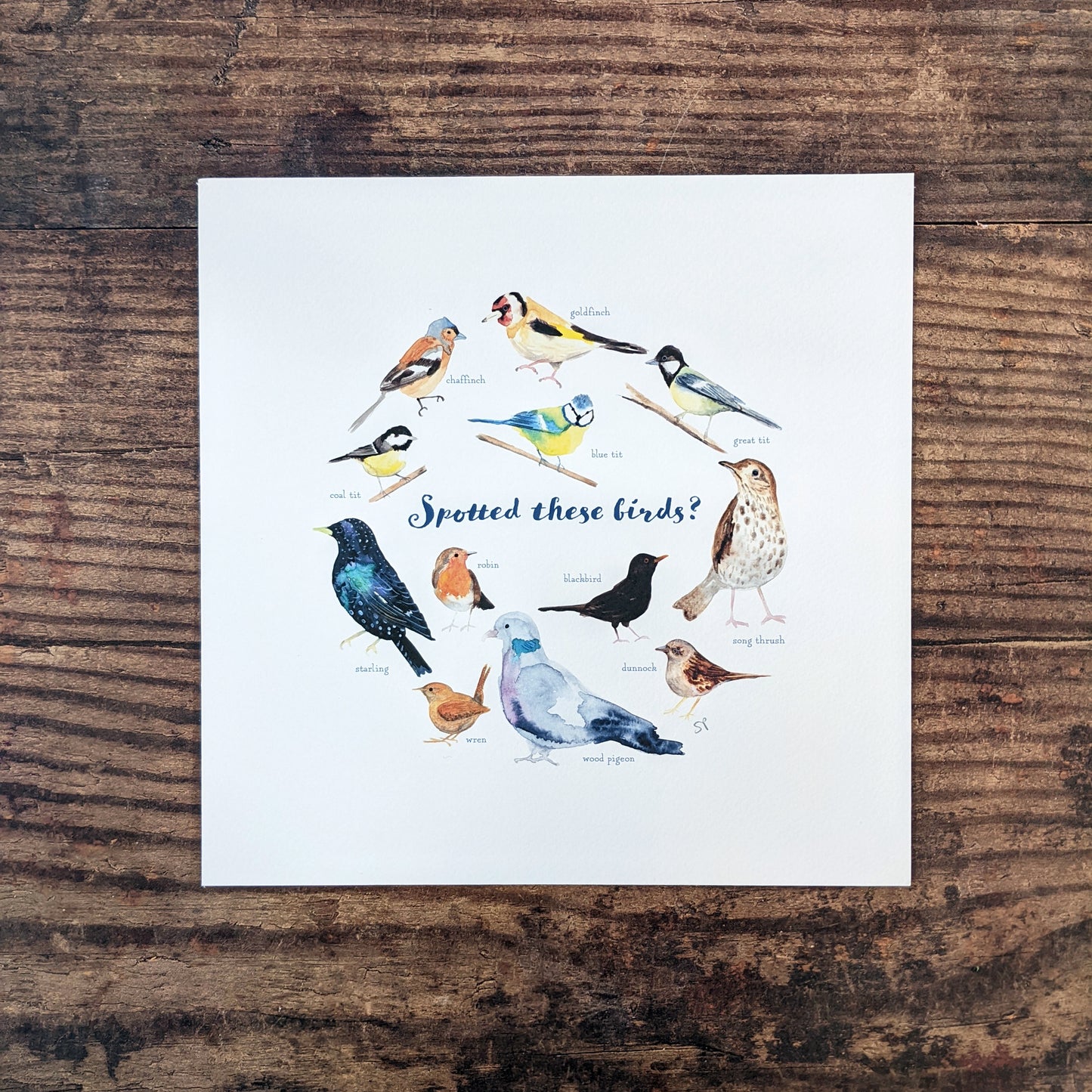 Watercolour Art Print - Garden Birds