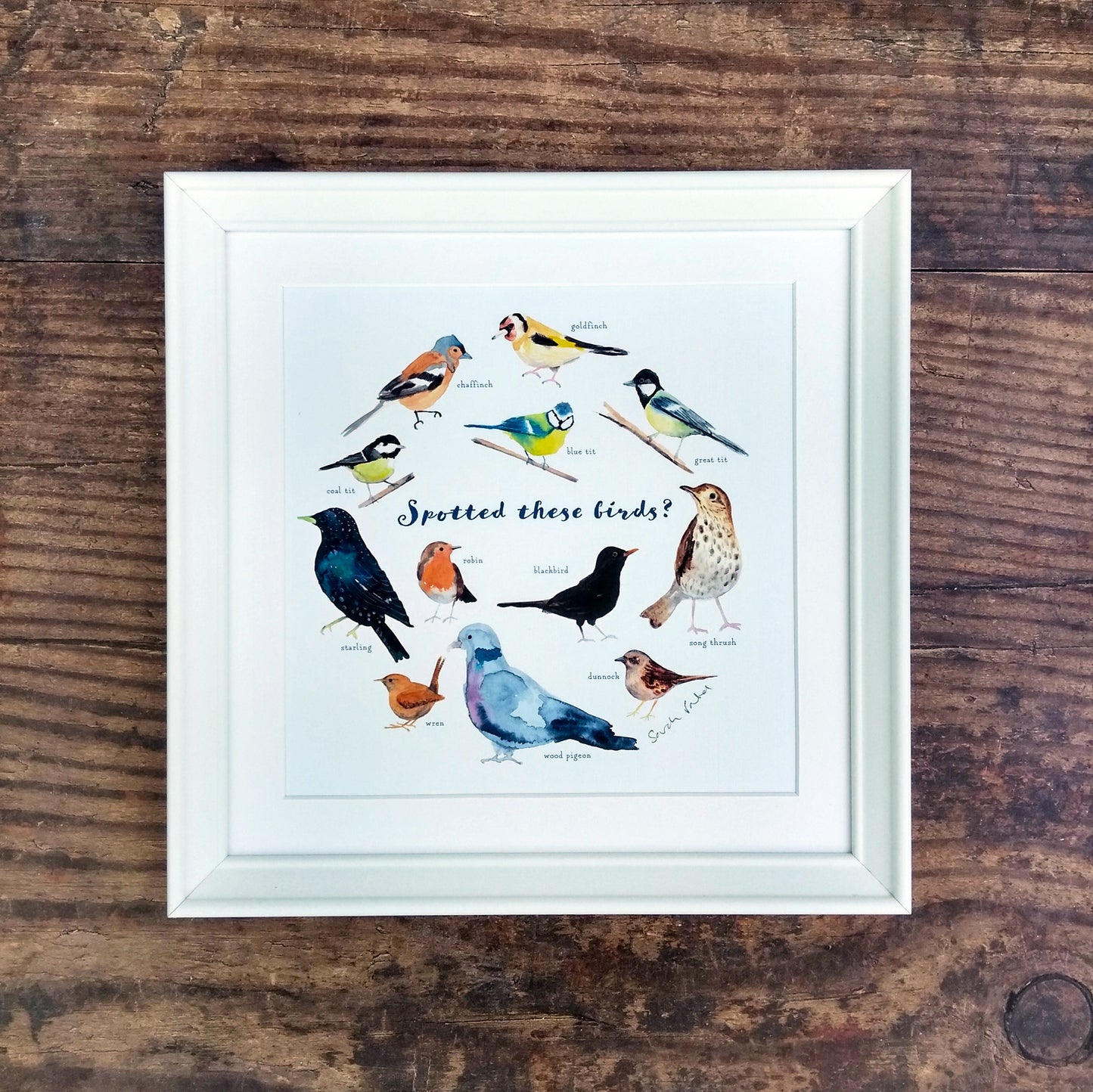 Watercolour Art Print - Garden Birds
