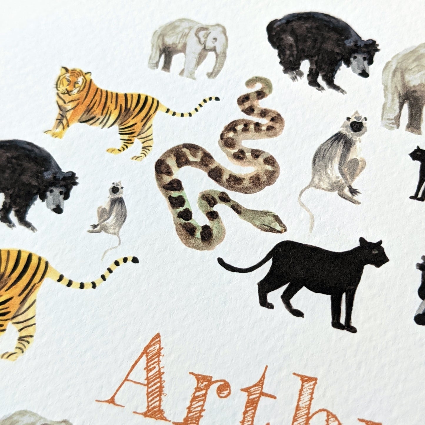 Personalised Watercolour Print - Indian Jungle