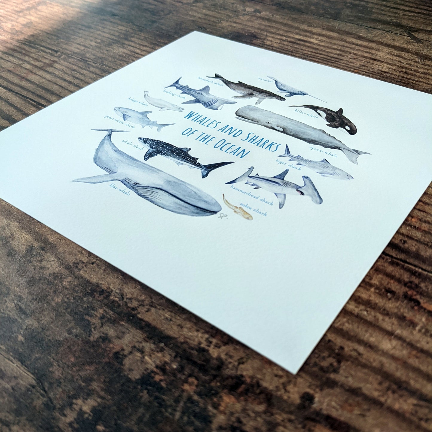 Watercolour Art Print - Whales and Sharks of the Ocean