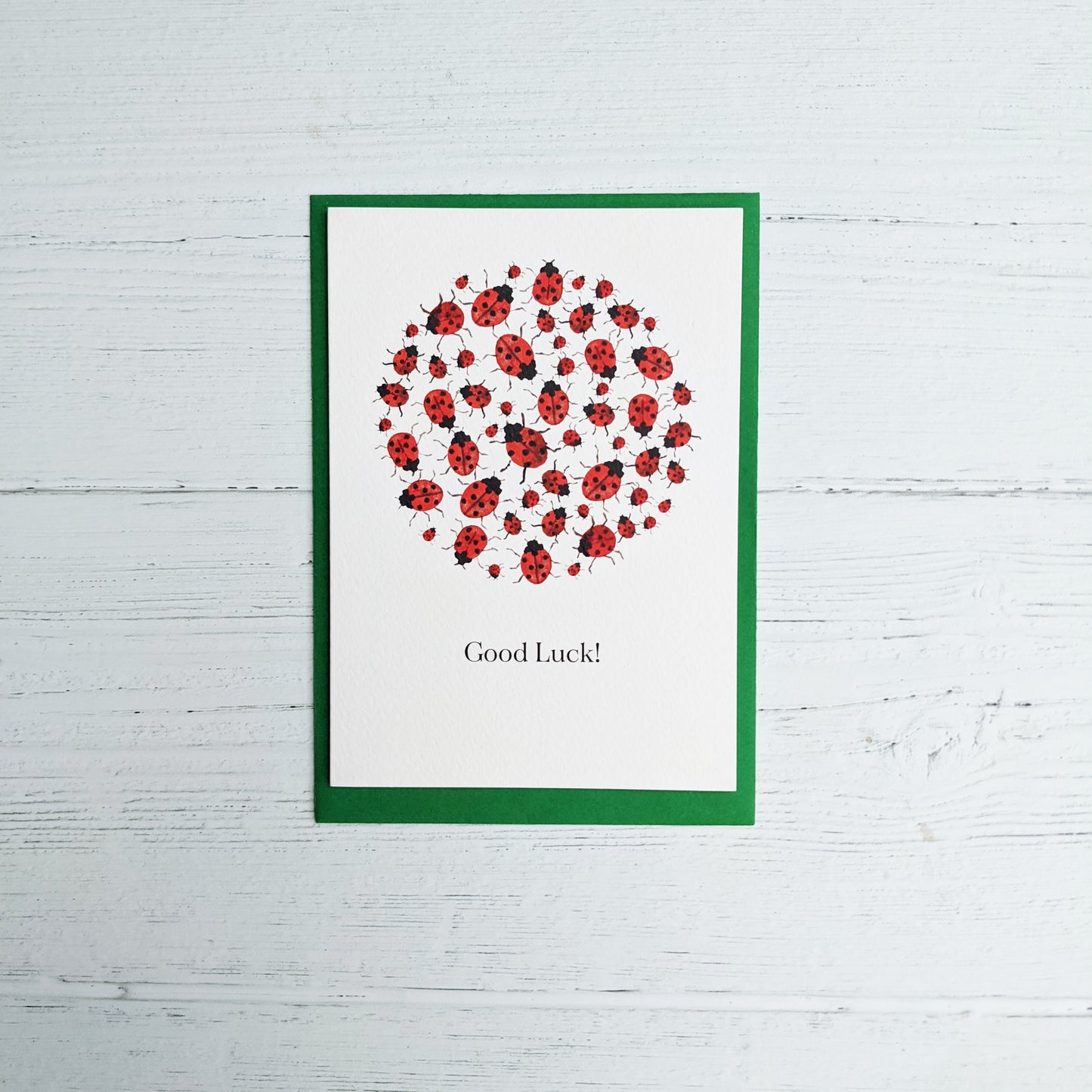 Greetings card - Good Luck Ladybirds