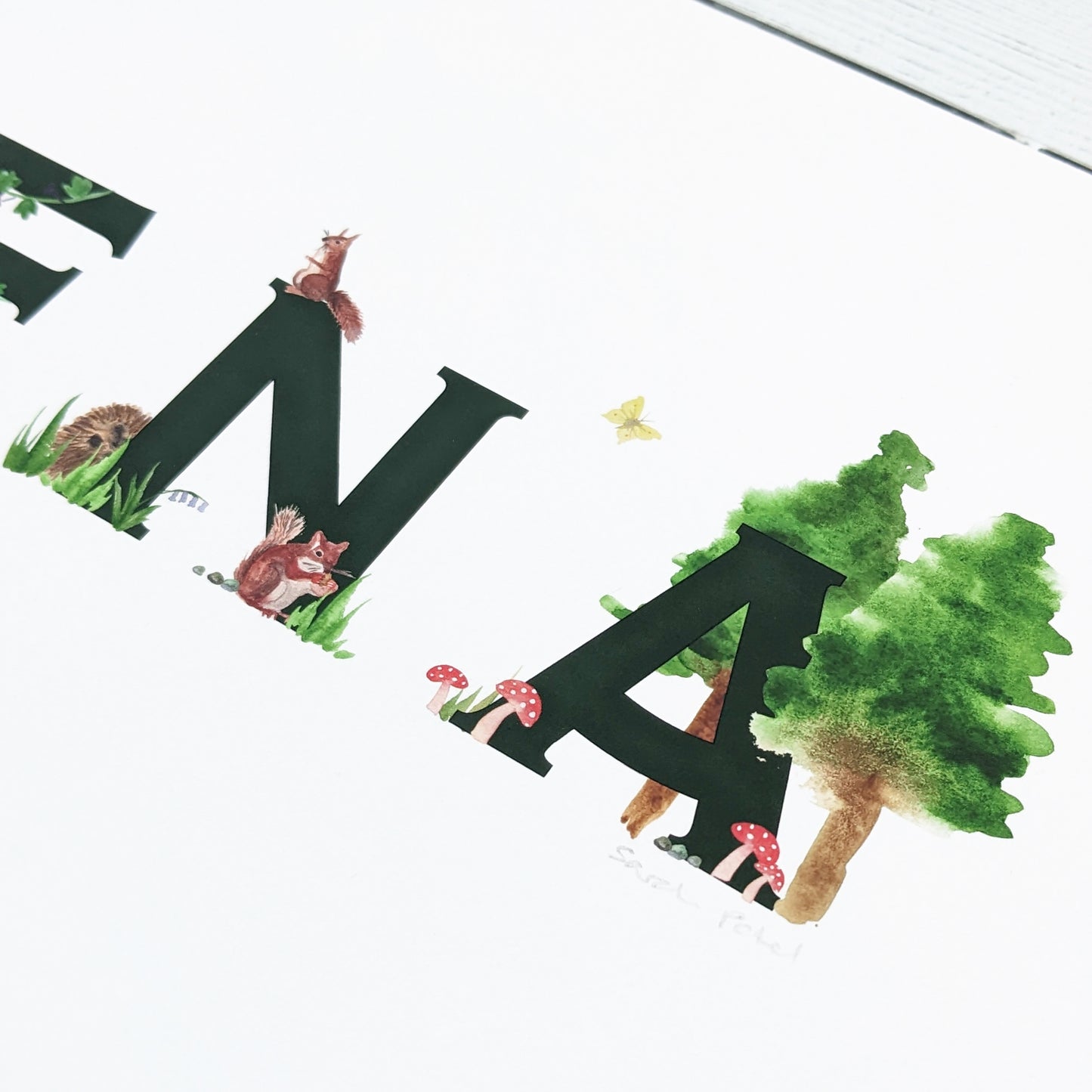 Illustrated name - Woodland Clearing
