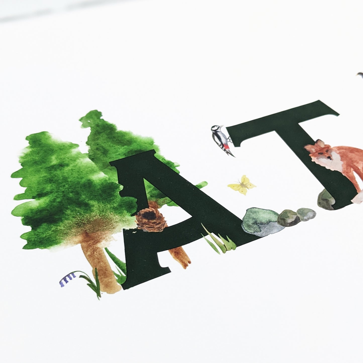 Illustrated name - Woodland Clearing