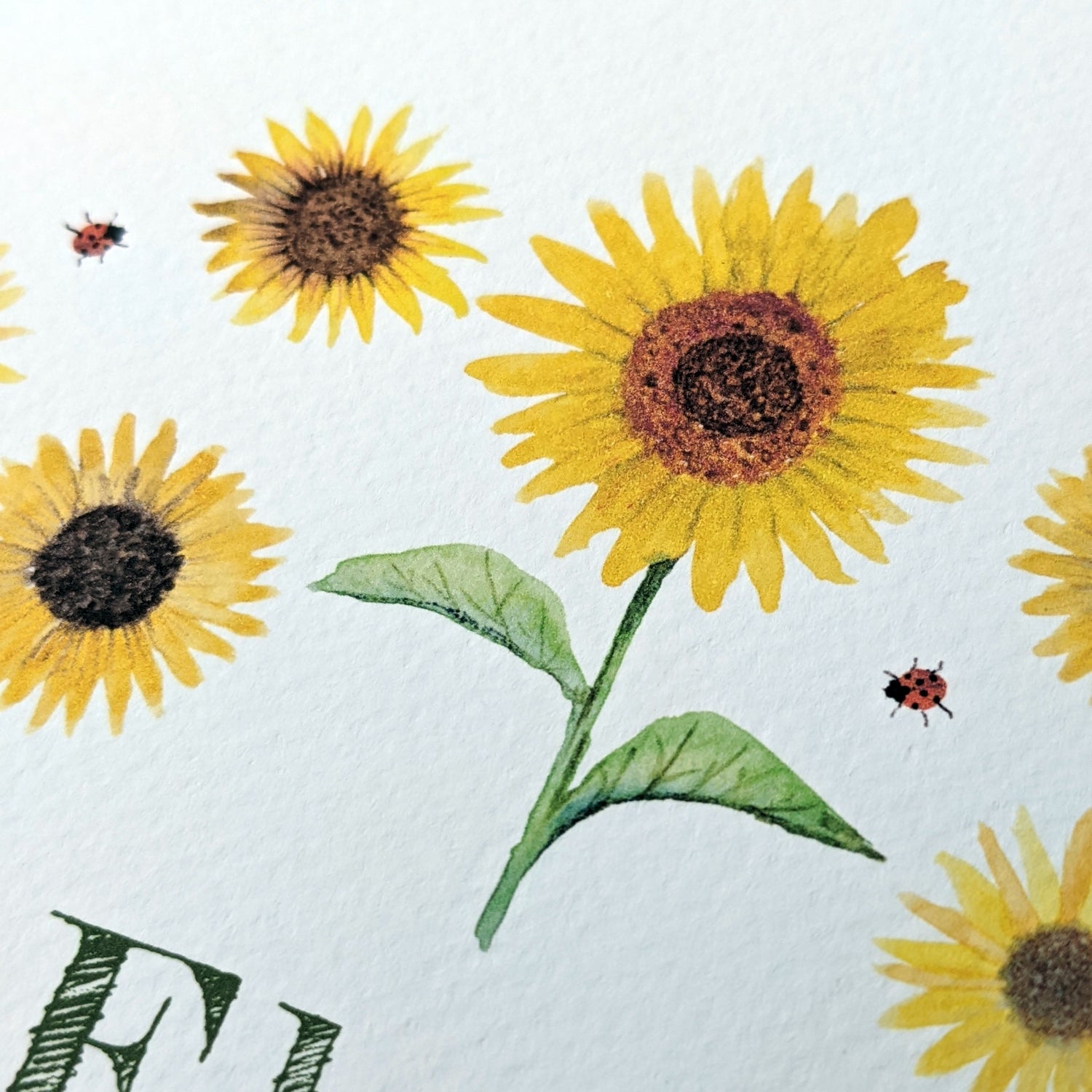 Cards & Gifts for Garden Lovers