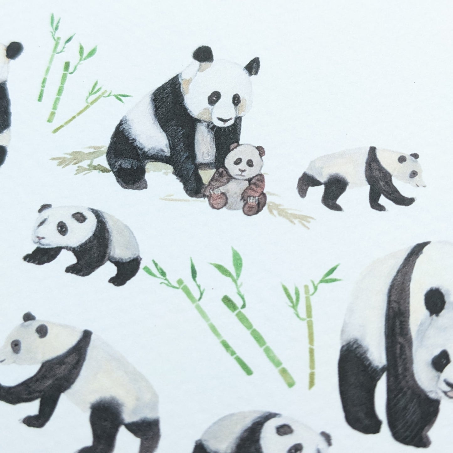 Greetings card - Panda - Happy Birthday