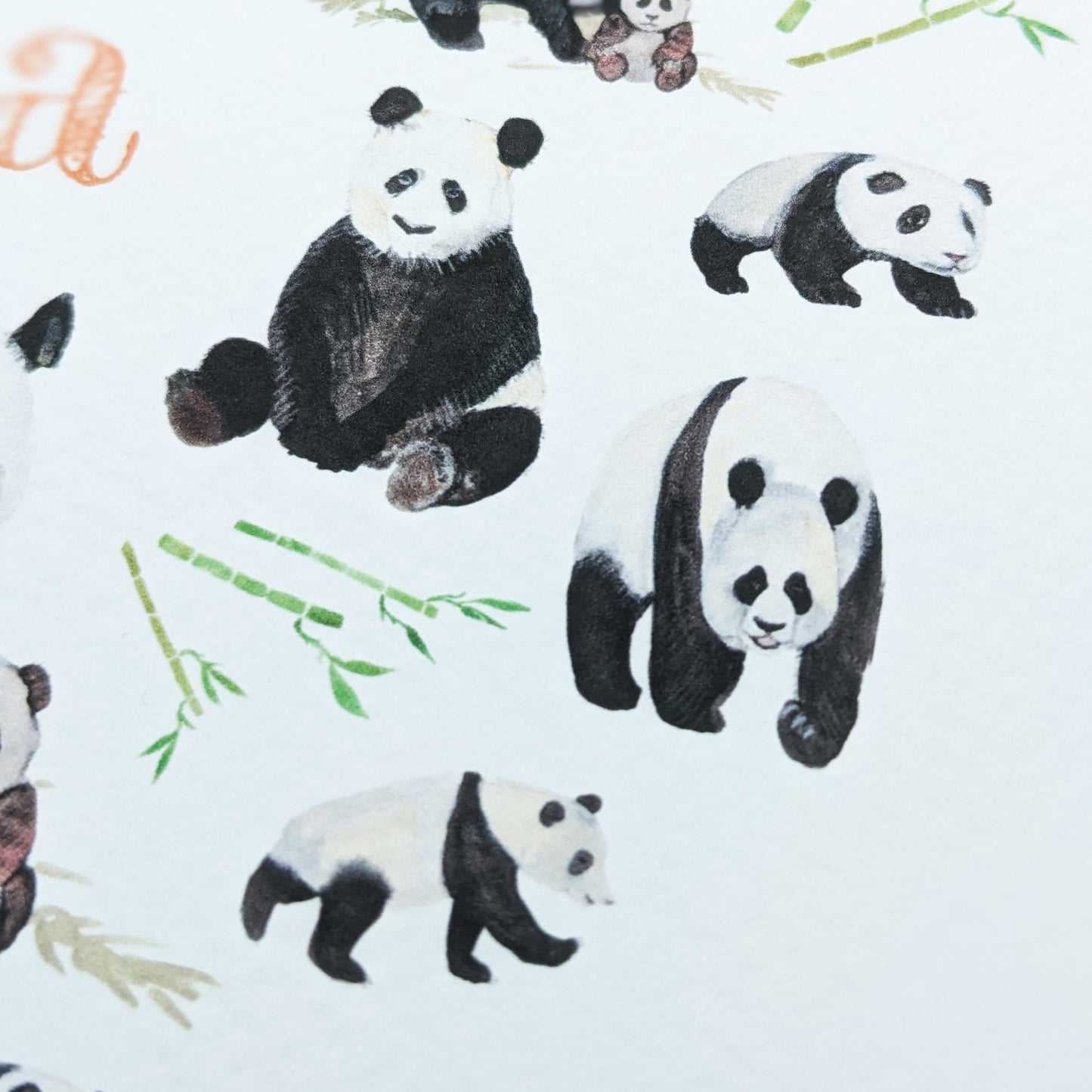 Greetings card - Panda - Happy Birthday