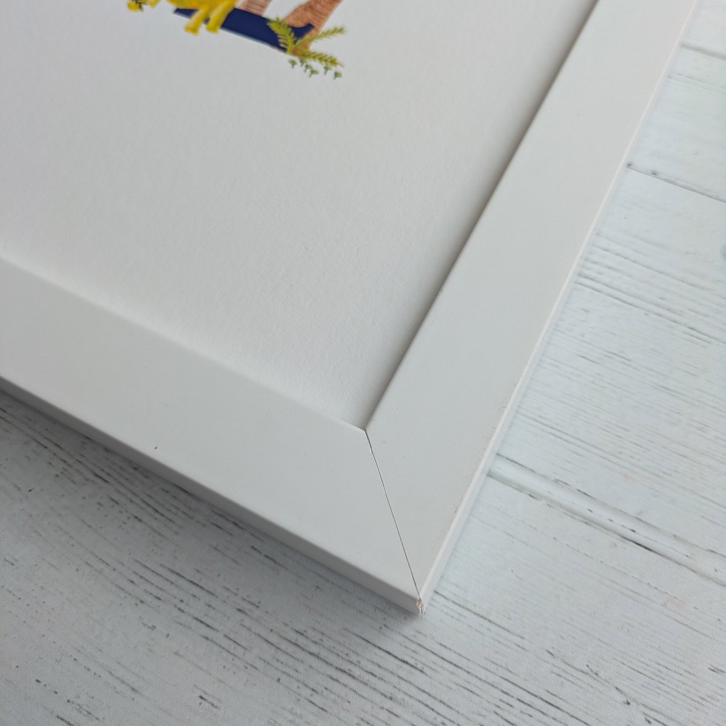 Frame - Painted Wood - White - 50x23cm