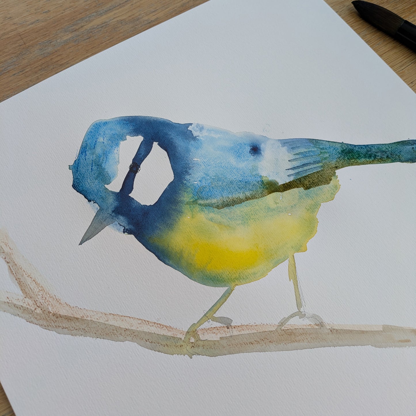 Watercolour Workshop - Bromham Village Hall - Loose and Lively Watercolour Birds