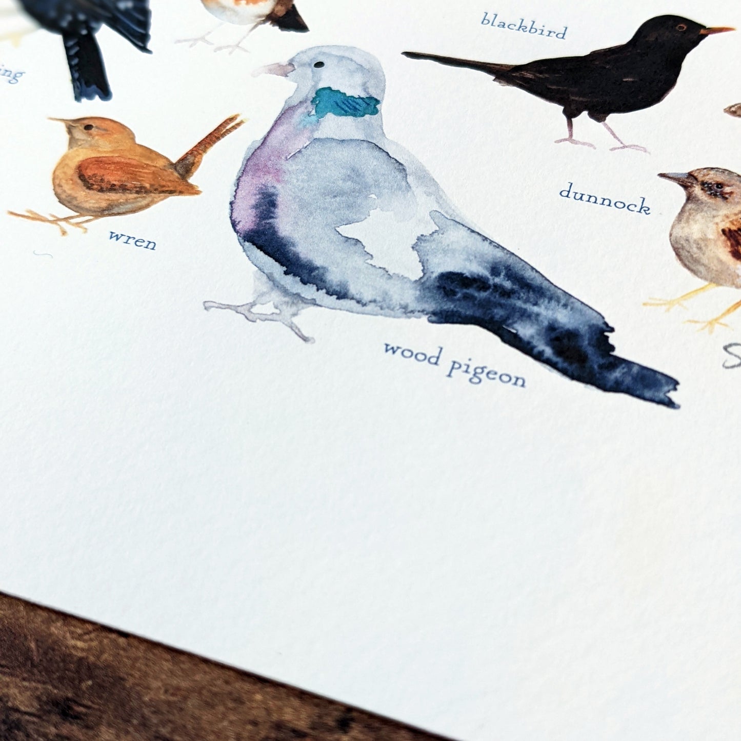 Square Greetings Card - Garden Birds