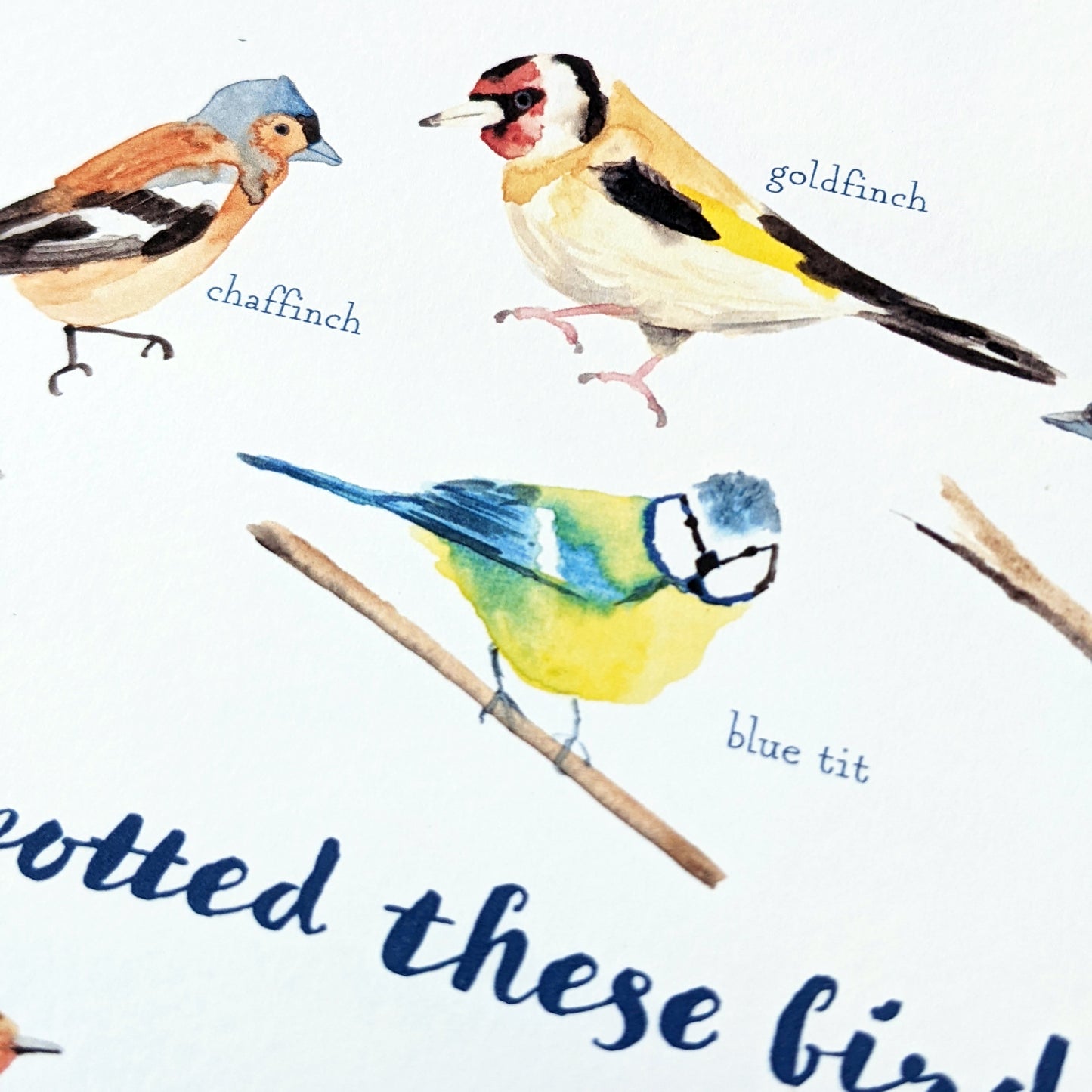 Square Greetings Card - Garden Birds