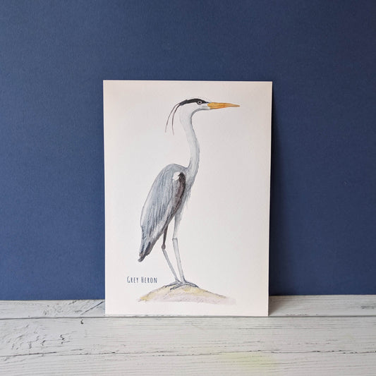 Watercolour Art Print - Birds - Grey Heron - A5