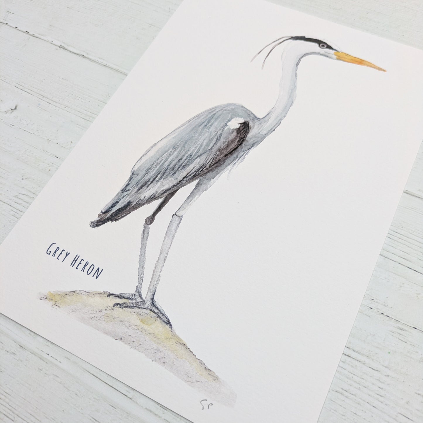 Watercolour Art Print - Birds - Grey Heron - A5