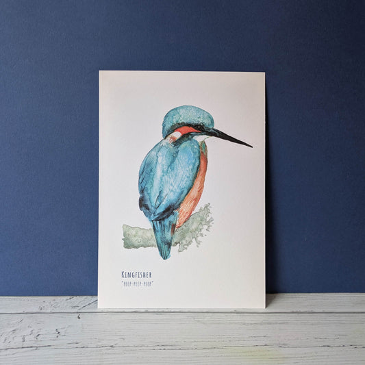 Watercolour Art Print - Birds - Kingfisher - A5