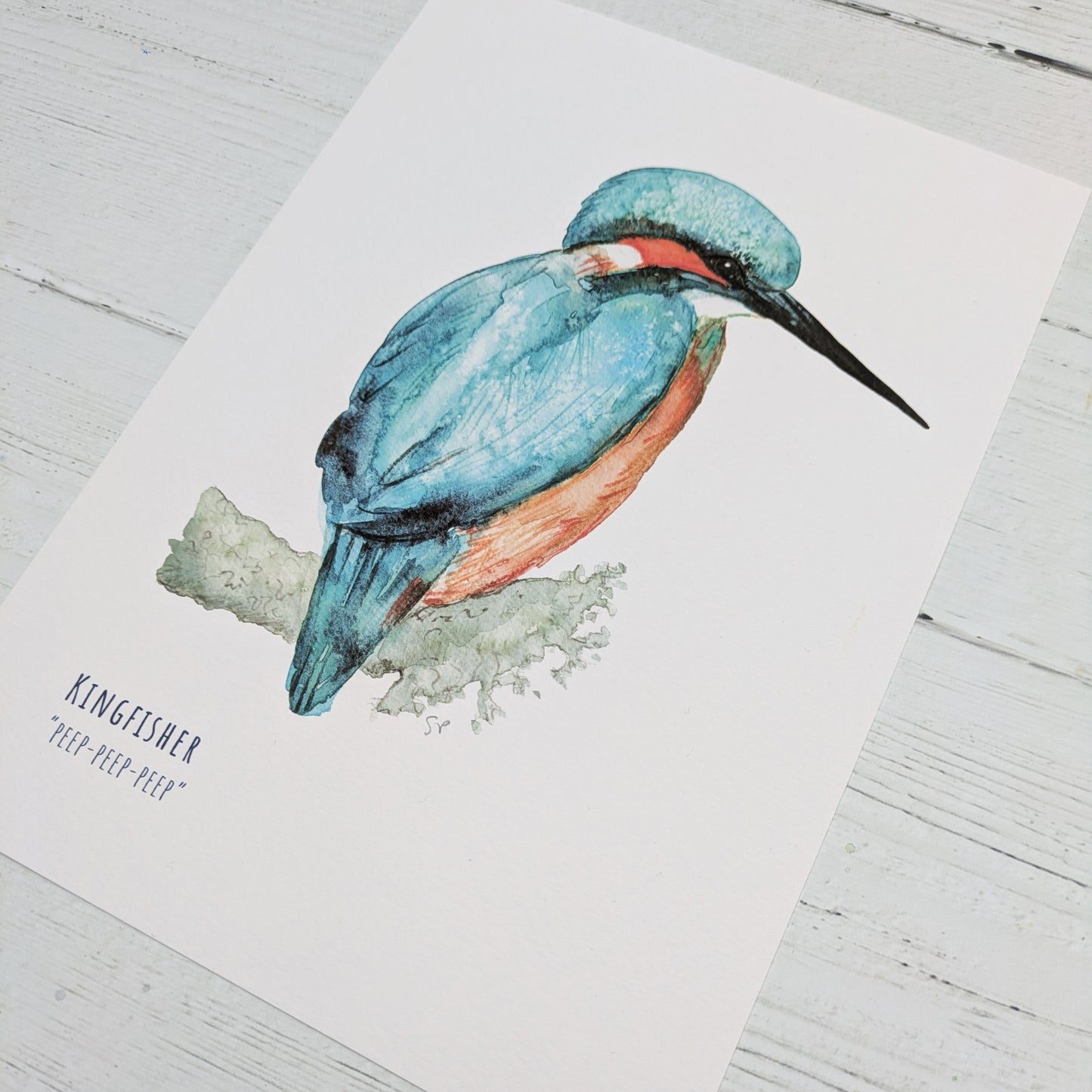Watercolour Art Print - Birds - Kingfisher - A5