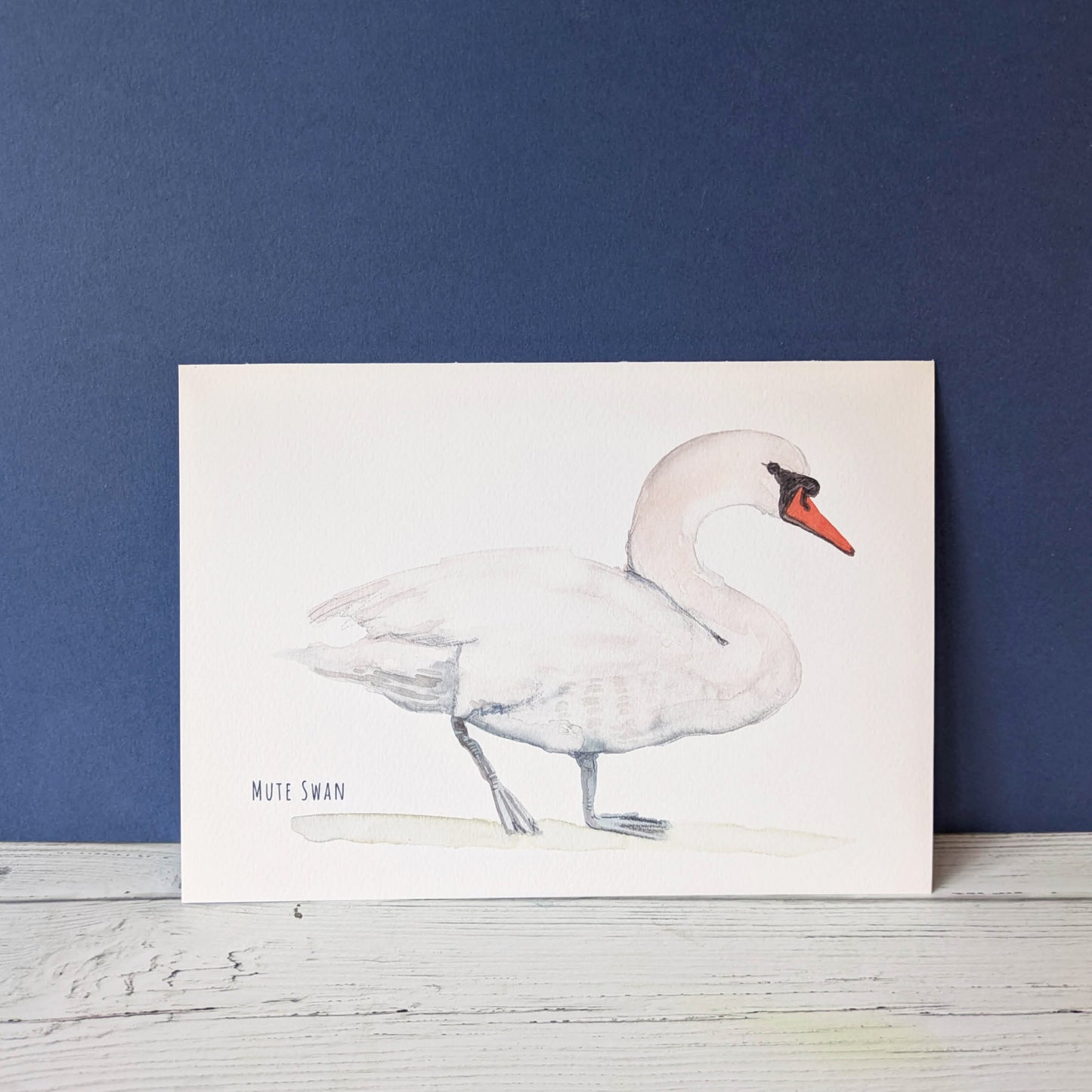 Watercolour Art Print - Birds - Mute Swan - A5
