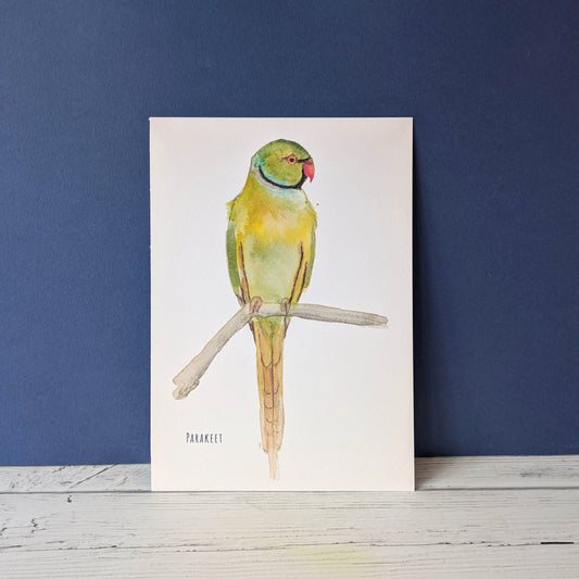 Watercolour Art Print - Birds - Ring Necked Parakeet- A5