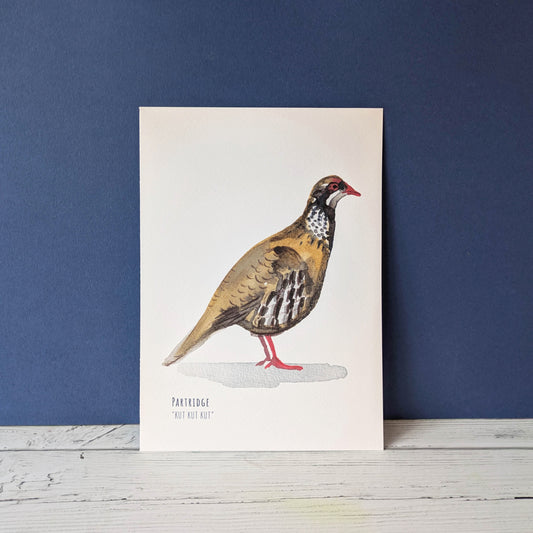 Watercolour Art Print - Garden Birds- Partridge- A5