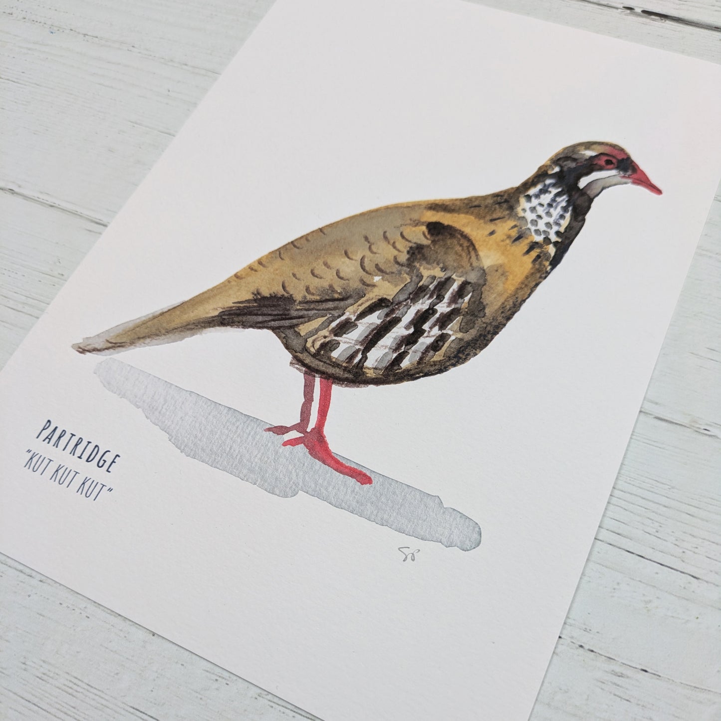 Watercolour Art Print - Garden Birds- Partridge- A5