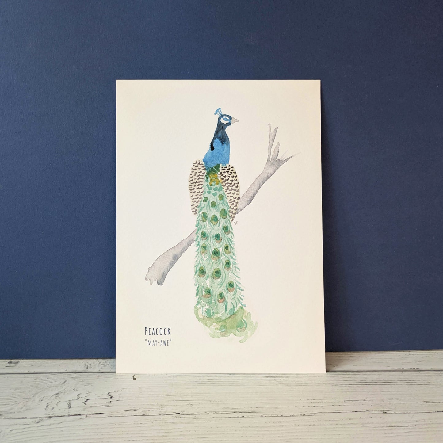Watercolour Art Print - Birds - Peacock - A5