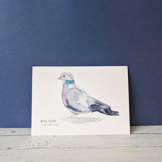 Watercolour Art Print - Birds - Wood Pigeon - A5