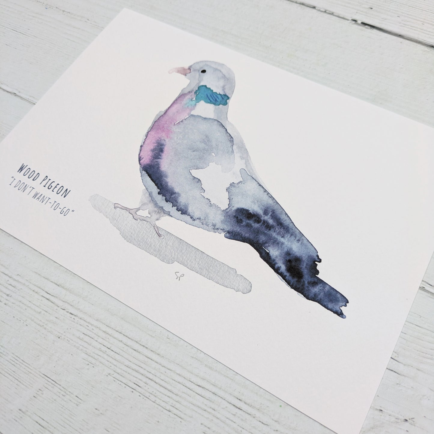 Watercolour Art Print - Birds - Wood Pigeon - A5